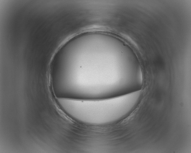 X0000075351413200609080801