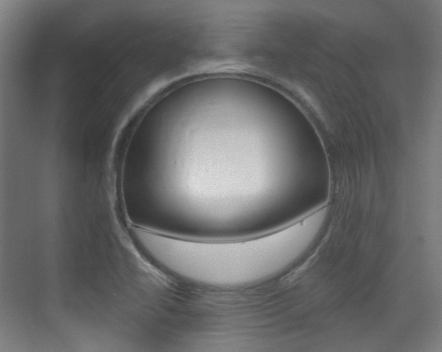 X0000075351414200609080801