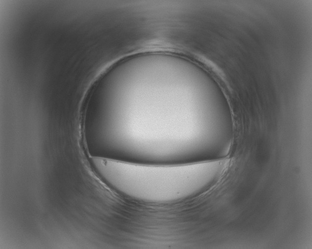 X0000075351415200609080801