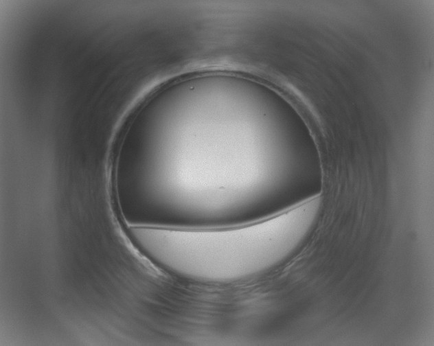 X0000075351416200609080801
