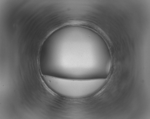 X0000075351417200609080801