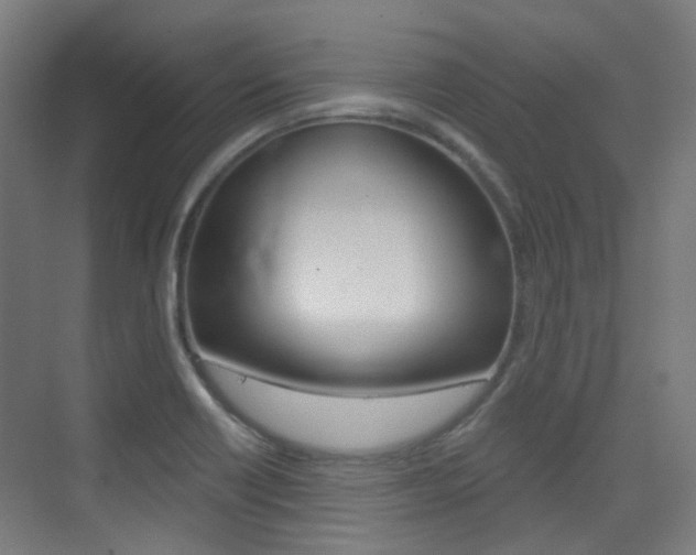 X0000075351418200609080801