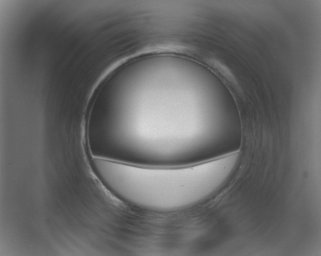 X0000075351420200609080801