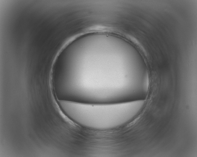 X0000075351421200609080801