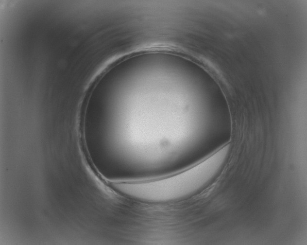 X0000075351422200609080801