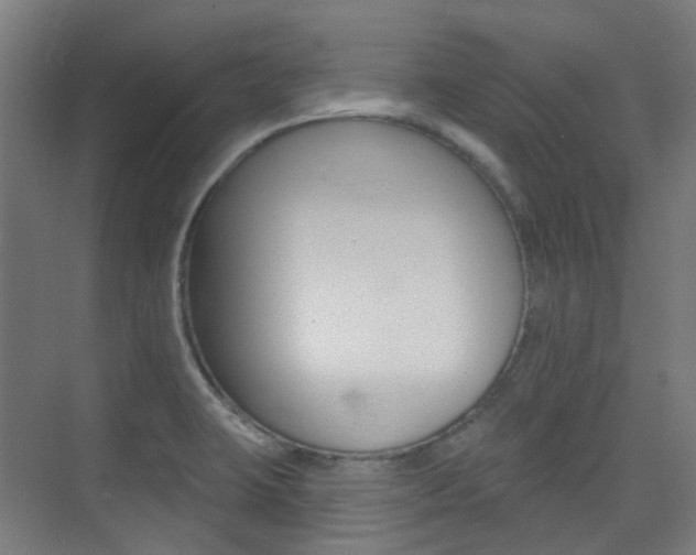 X0000075351423200609080801