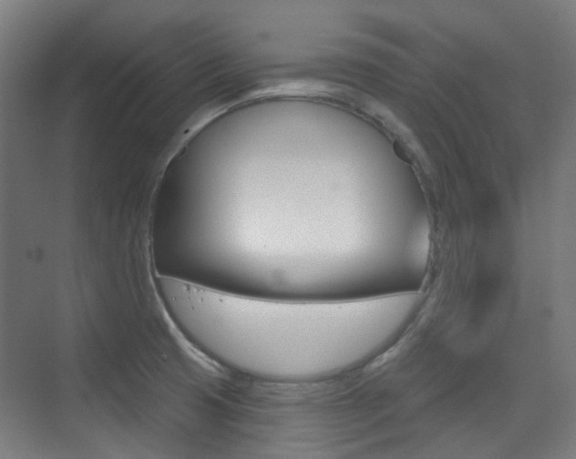 X0000075351425200609080801