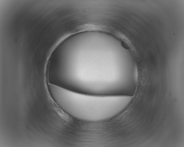 X0000075351427200609080801