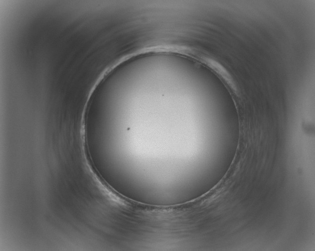 X0000075351428200609080801