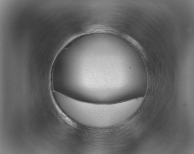 X0000075351431200609080801