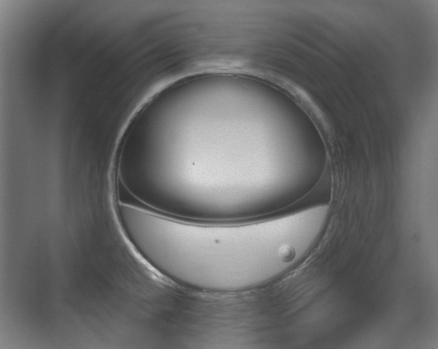 X0000075351432200609080801