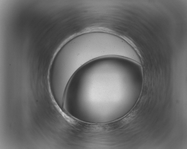 X0000075351438200609080801