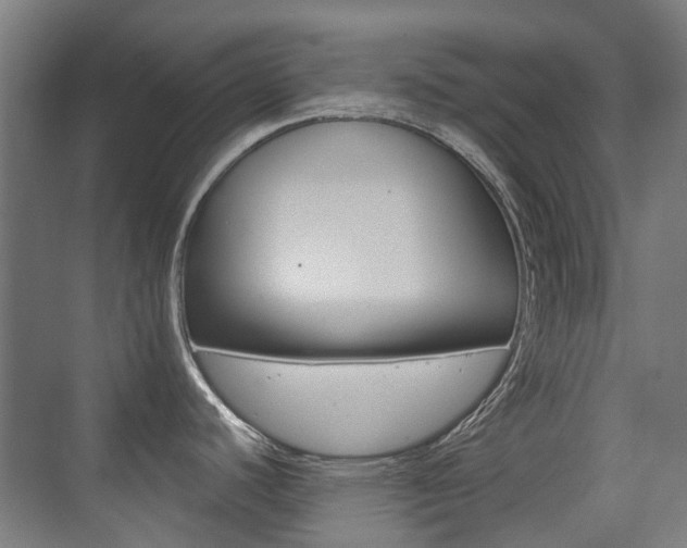 X0000075351440200609080801