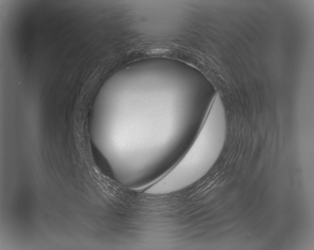 X0000075351441200609080800