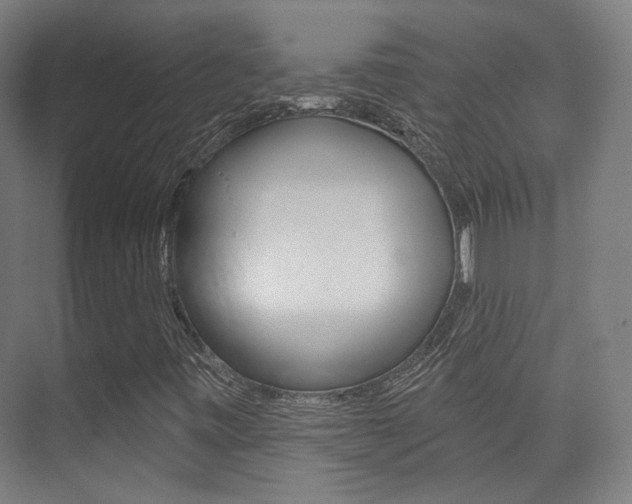 X0000075351443200609080800