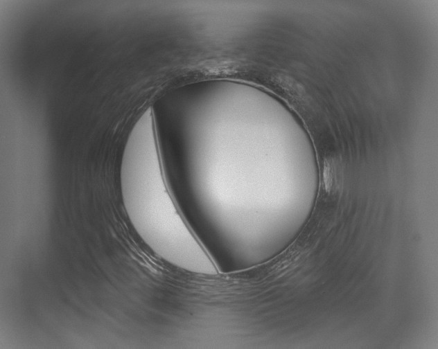 X0000075351444200609080800
