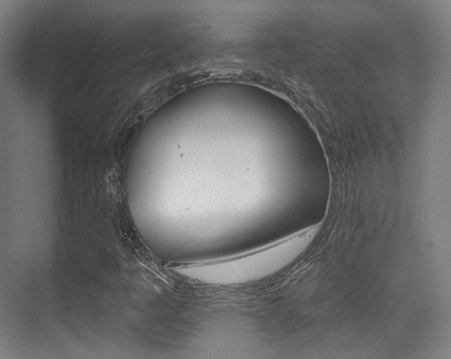 X0000075351445200609080800