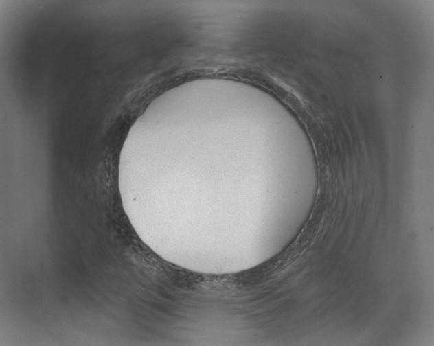 X0000075351447200609080800