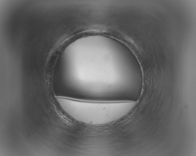 X0000075351448200609080800