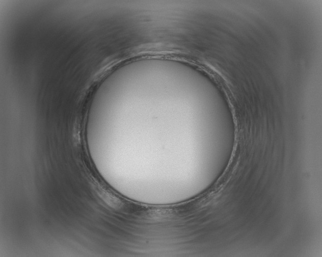 X0000075351451200609080800