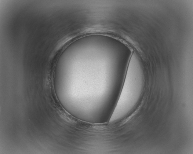 X0000075351453200609080800
