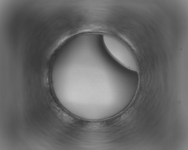 X0000075351455200609080800