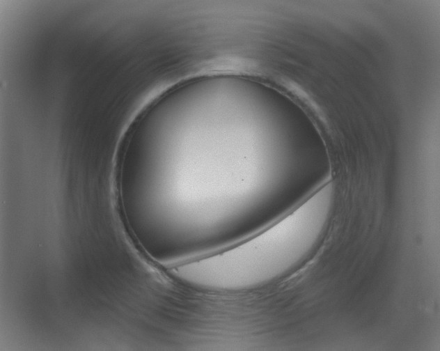 X0000075351469200609080800