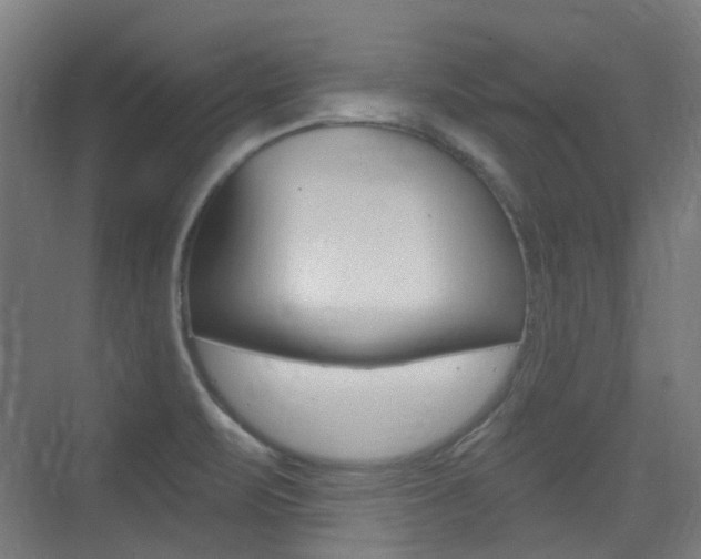 X0000075351471200609080800