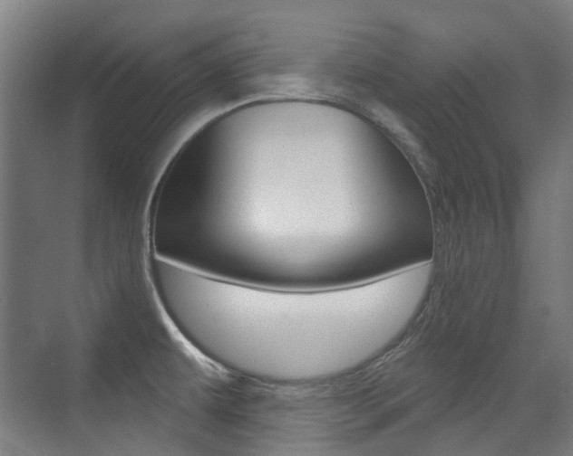 X0000075351479200609080800
