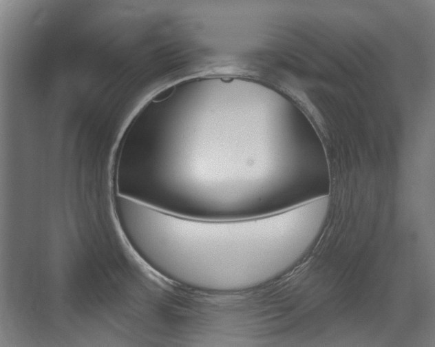 X0000075351483200609080800