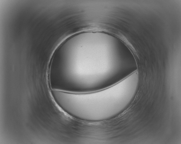 X0000075351484200609080800