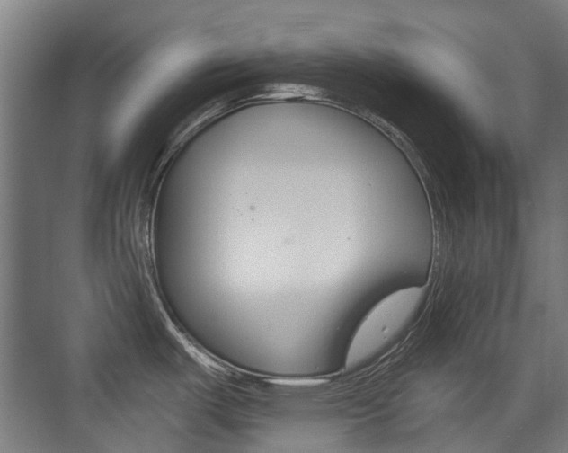 X0000075351487200609080800