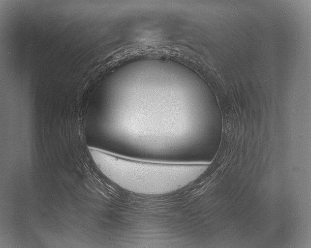 X0000075351490200609080759
