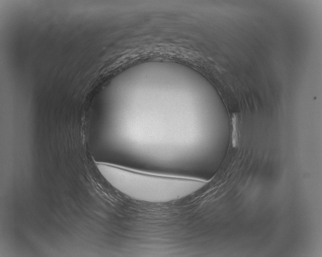 X0000075351491200609080759