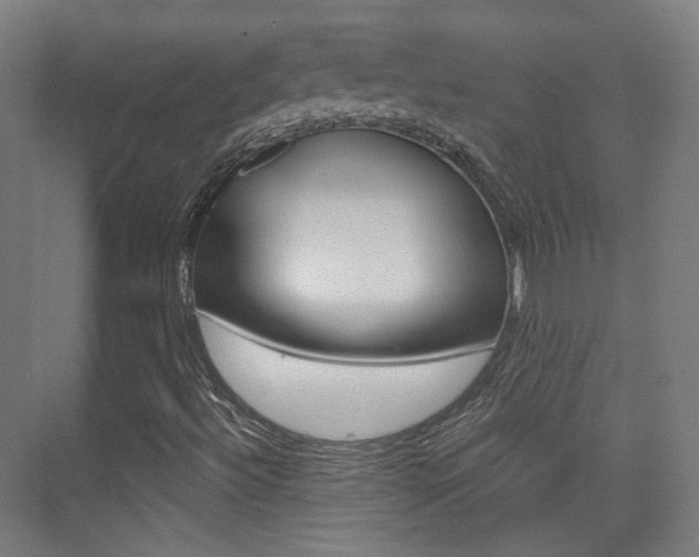 X0000075351492200609080759