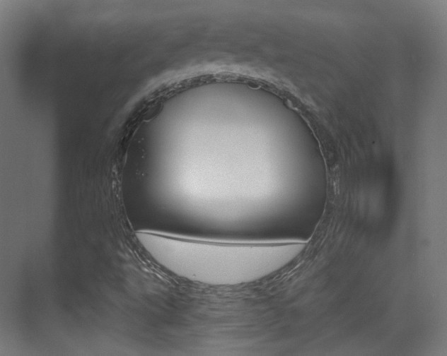 X0000075351495200609080759