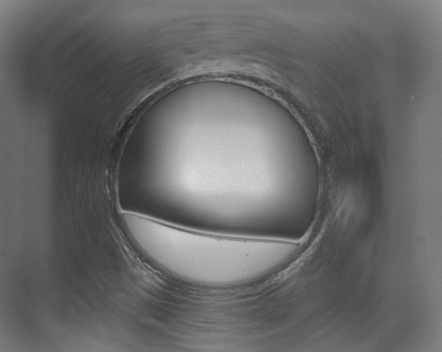 X0000075351497200609080759