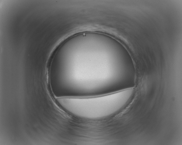 X0000075351509200609080759