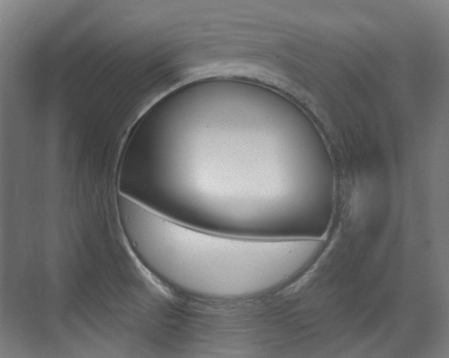 X0000075351521200609080759