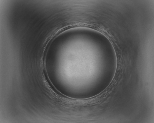 X0000075350002200609081201