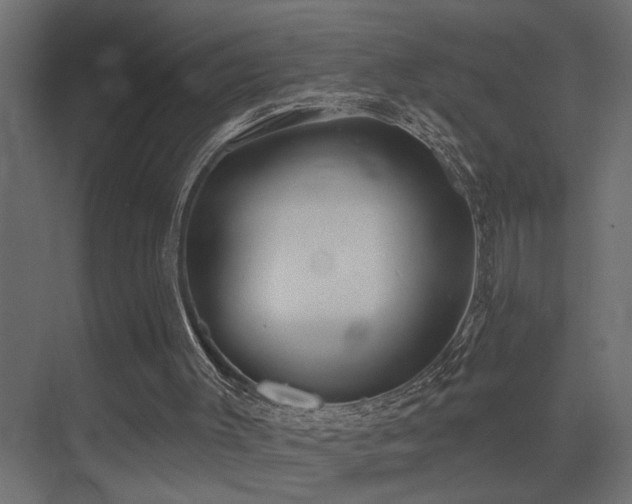 X0000075350003200609081201