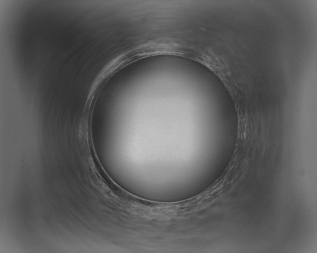 X0000075350004200609081201