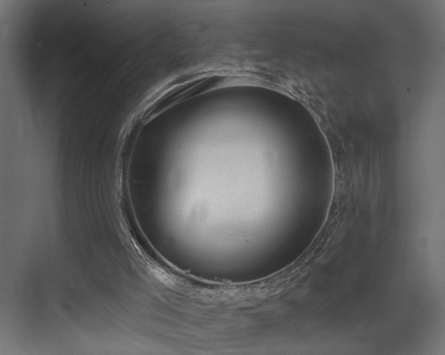 X0000075350005200609081201