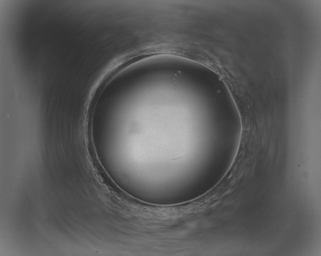 X0000075350006200609081201
