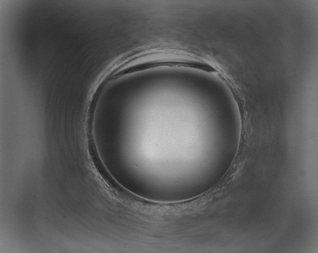 X0000075350007200609081201