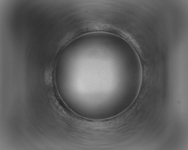 X0000075350010200609081201