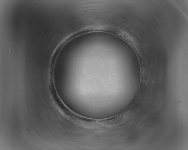 X0000075350012200609081201