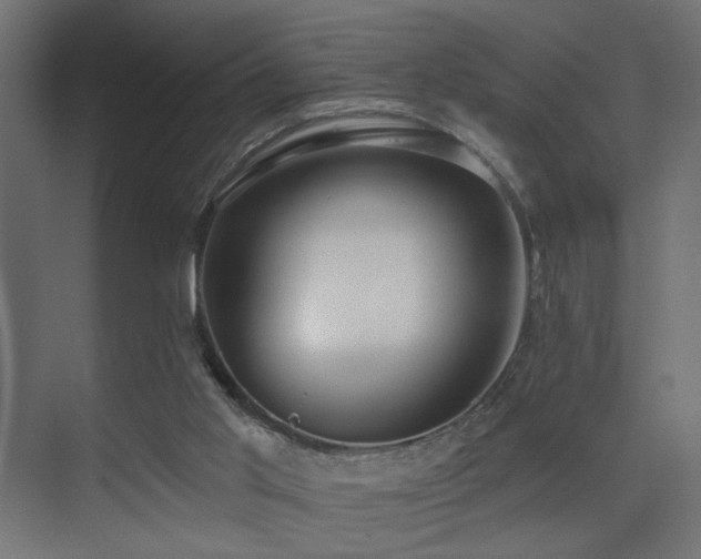 X0000075350013200609081201