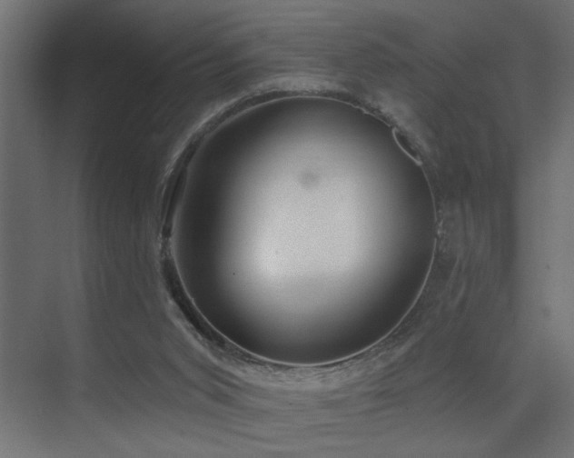 X0000075350015200609081201