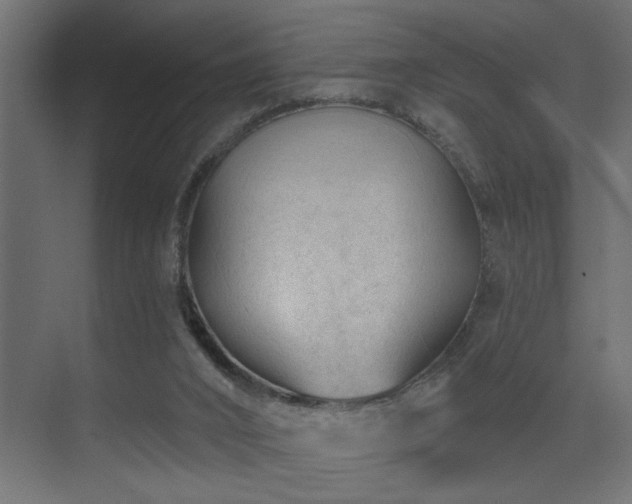 X0000075350016200609081201